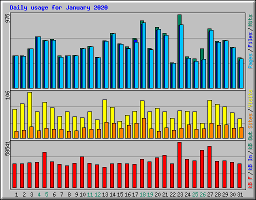 Daily usage for January 2020