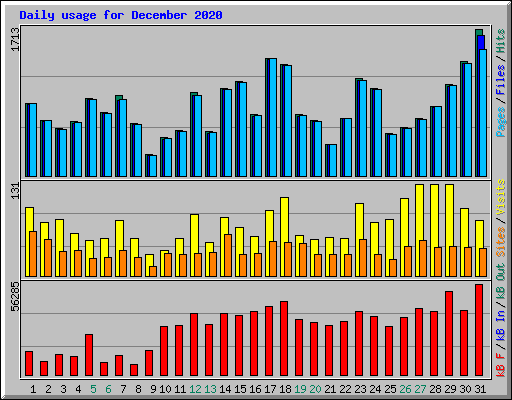 Daily usage for December 2020