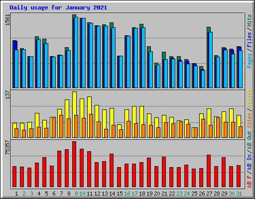 Daily usage for January 2021