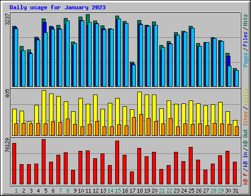 Daily usage for January 2023