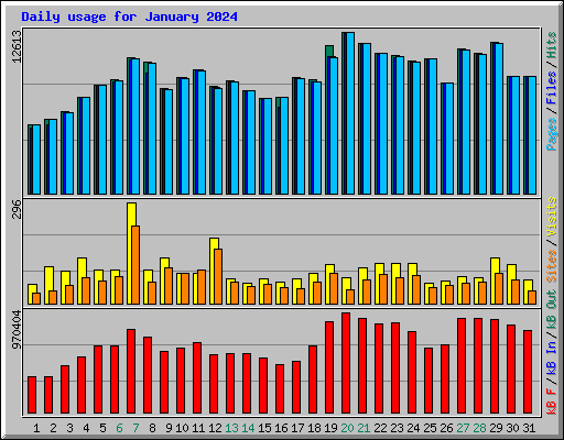 Daily usage for January 2024