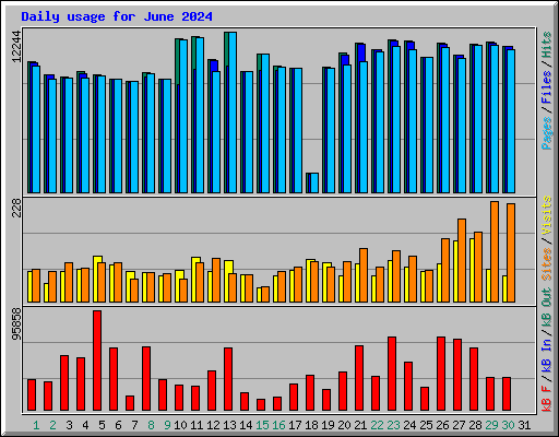 Daily usage for June 2024