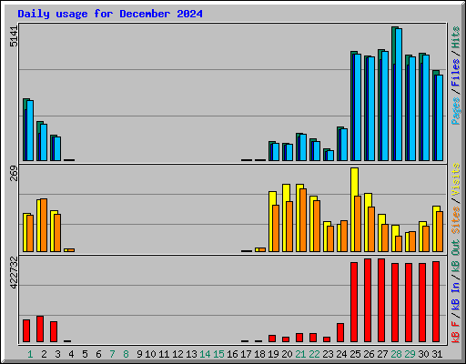 Daily usage for December 2024