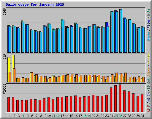 Daily usage for January 2025