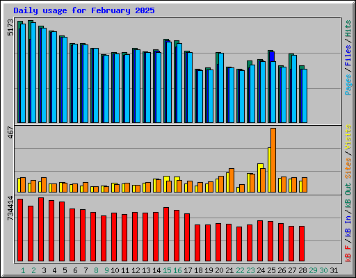 Daily usage for February 2025