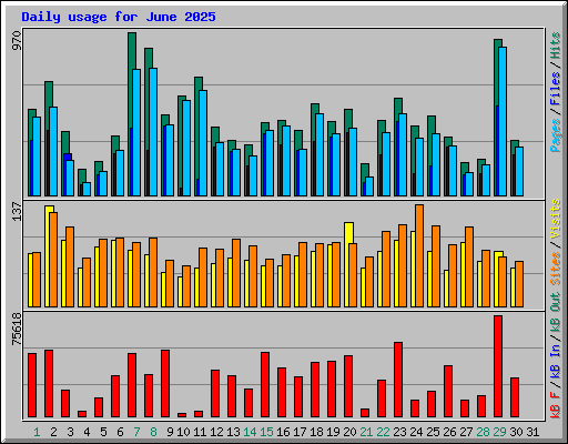 Daily usage for June 2025