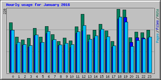 Hourly usage for January 2016