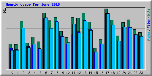 Hourly usage for June 2016