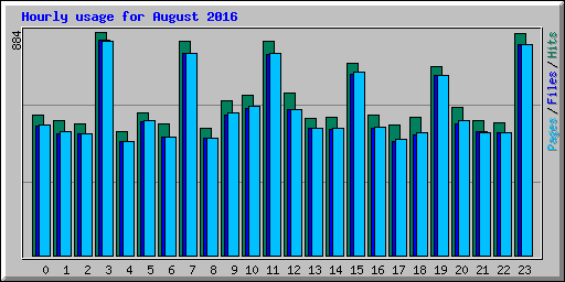 Hourly usage for August 2016