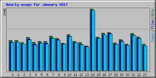 Hourly usage for January 2017