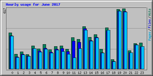 Hourly usage for June 2017