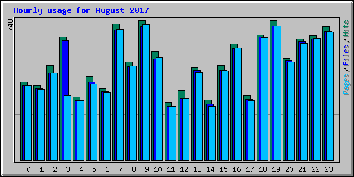 Hourly usage for August 2017