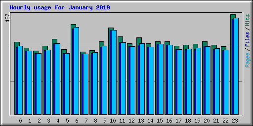 Hourly usage for January 2019