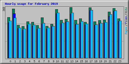 Hourly usage for February 2019