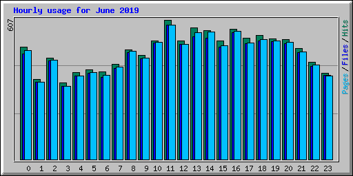 Hourly usage for June 2019