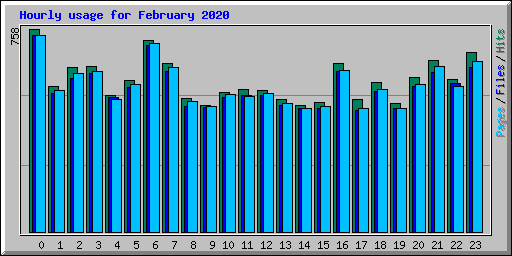 Hourly usage for February 2020