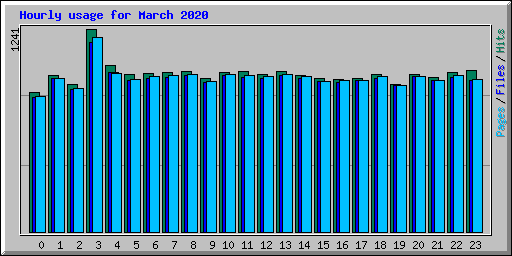 Hourly usage for March 2020