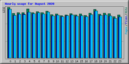 Hourly usage for August 2020