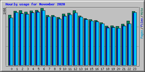 Hourly usage for November 2020