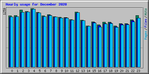 Hourly usage for December 2020