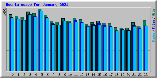 Hourly usage for January 2021