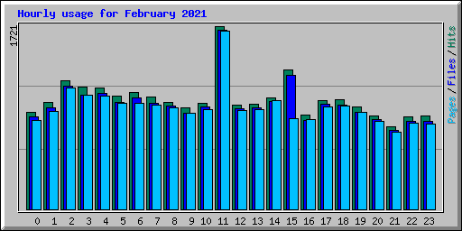 Hourly usage for February 2021