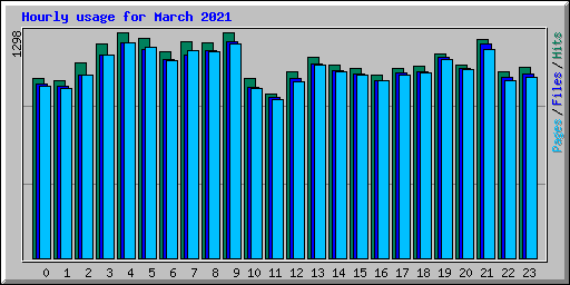 Hourly usage for March 2021