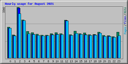 Hourly usage for August 2021