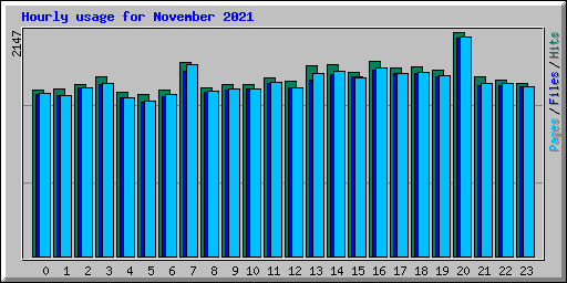 Hourly usage for November 2021