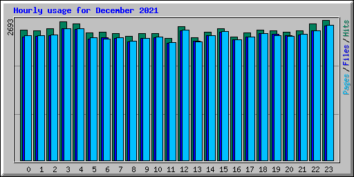 Hourly usage for December 2021