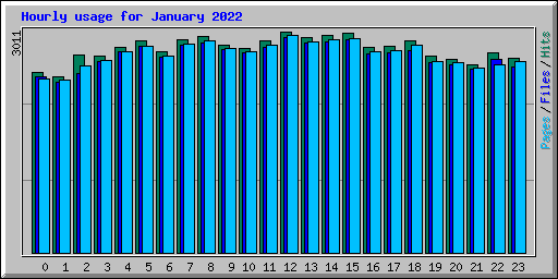 Hourly usage for January 2022