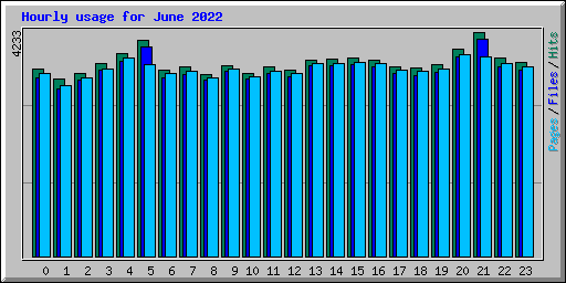 Hourly usage for June 2022