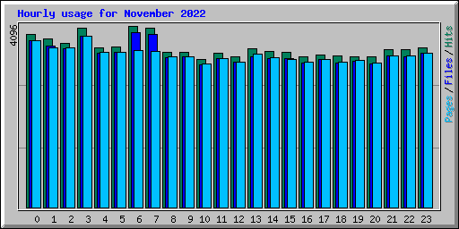 Hourly usage for November 2022