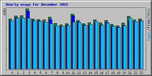 Hourly usage for December 2022