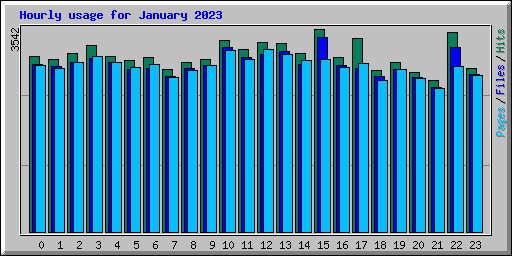 Hourly usage for January 2023