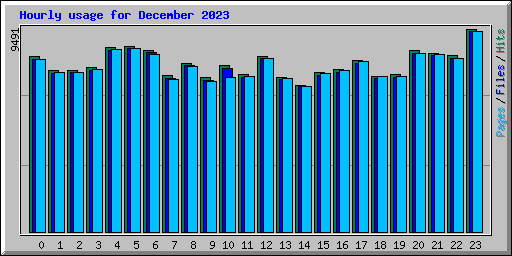 Hourly usage for December 2023