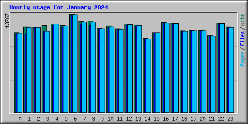 Hourly usage for January 2024