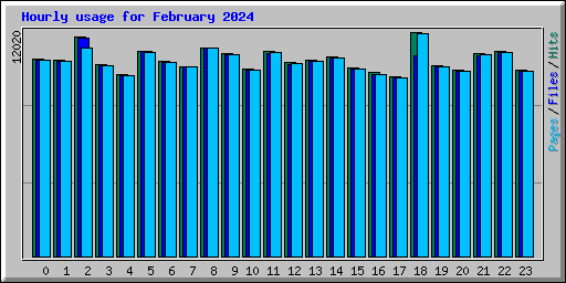 Hourly usage for February 2024