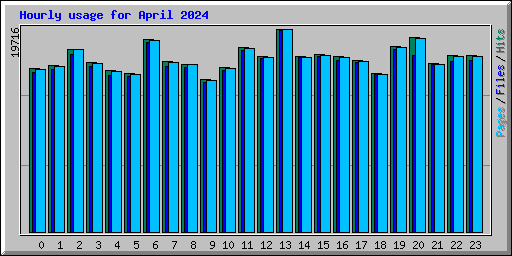 Hourly usage for April 2024
