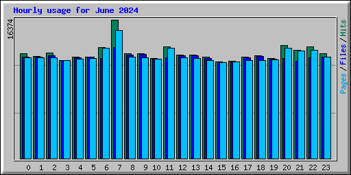 Hourly usage for June 2024