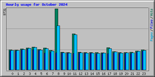 Hourly usage for October 2024