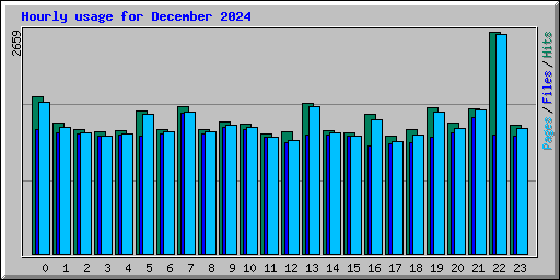 Hourly usage for December 2024