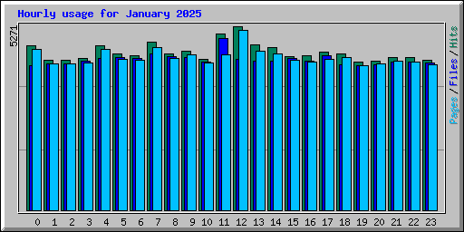 Hourly usage for January 2025