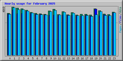 Hourly usage for February 2025