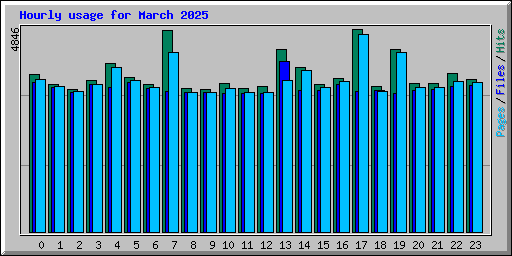 Hourly usage for March 2025