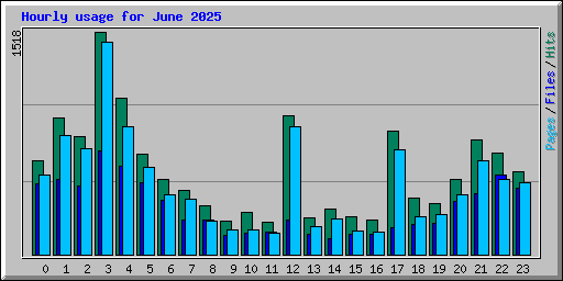 Hourly usage for June 2025