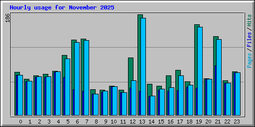 Hourly usage for November 2025