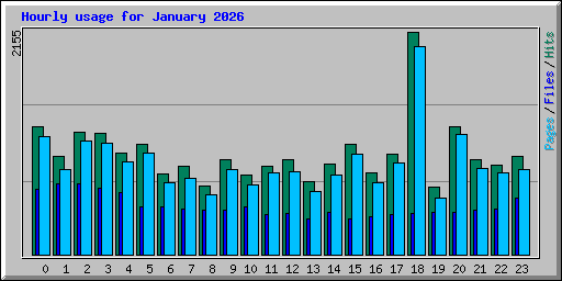 Hourly usage for January 2026