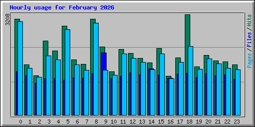 Hourly usage for February 2026
