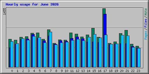 Hourly usage for June 2026